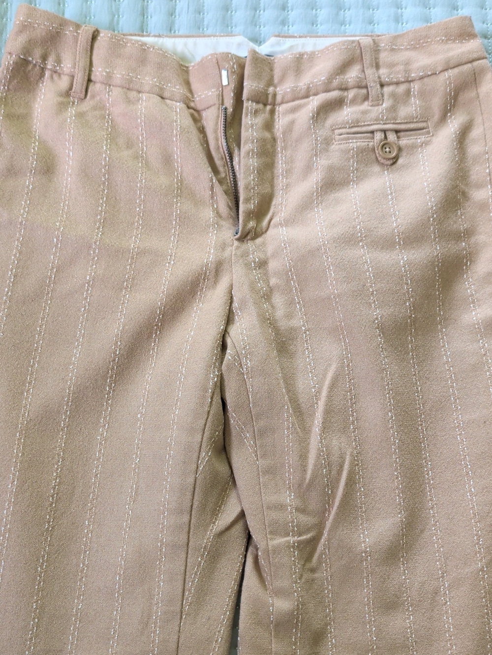 GAP Women's Tan Pinstripe Chinos